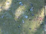 image of grave number 631723
